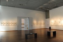 Roemer - und Pelizaeus - Museo Hildesheim
