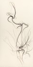Tengo sed - Mich dürstet | Dibujo 2 - 195 x 98 cm | Zeichenkohle und Pastell auf Papier | 2012